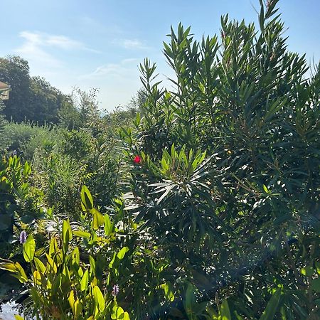 Agriturismo Al Robale Almenno San Bartolomeo Kültér fotó