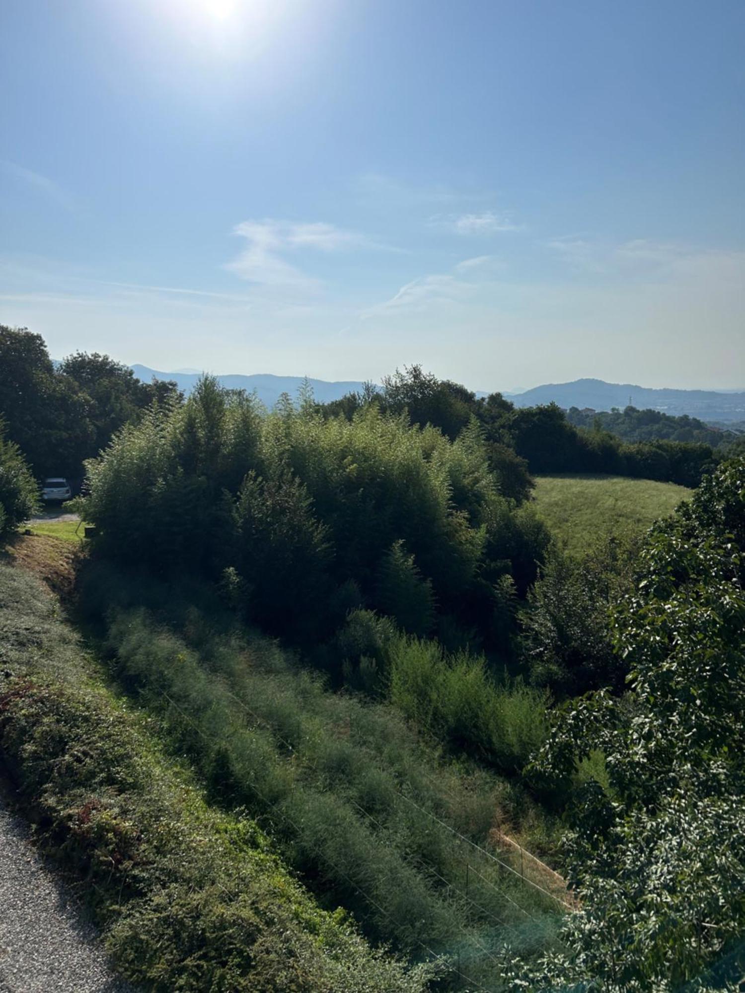 Agriturismo Al Robale Almenno San Bartolomeo Kültér fotó