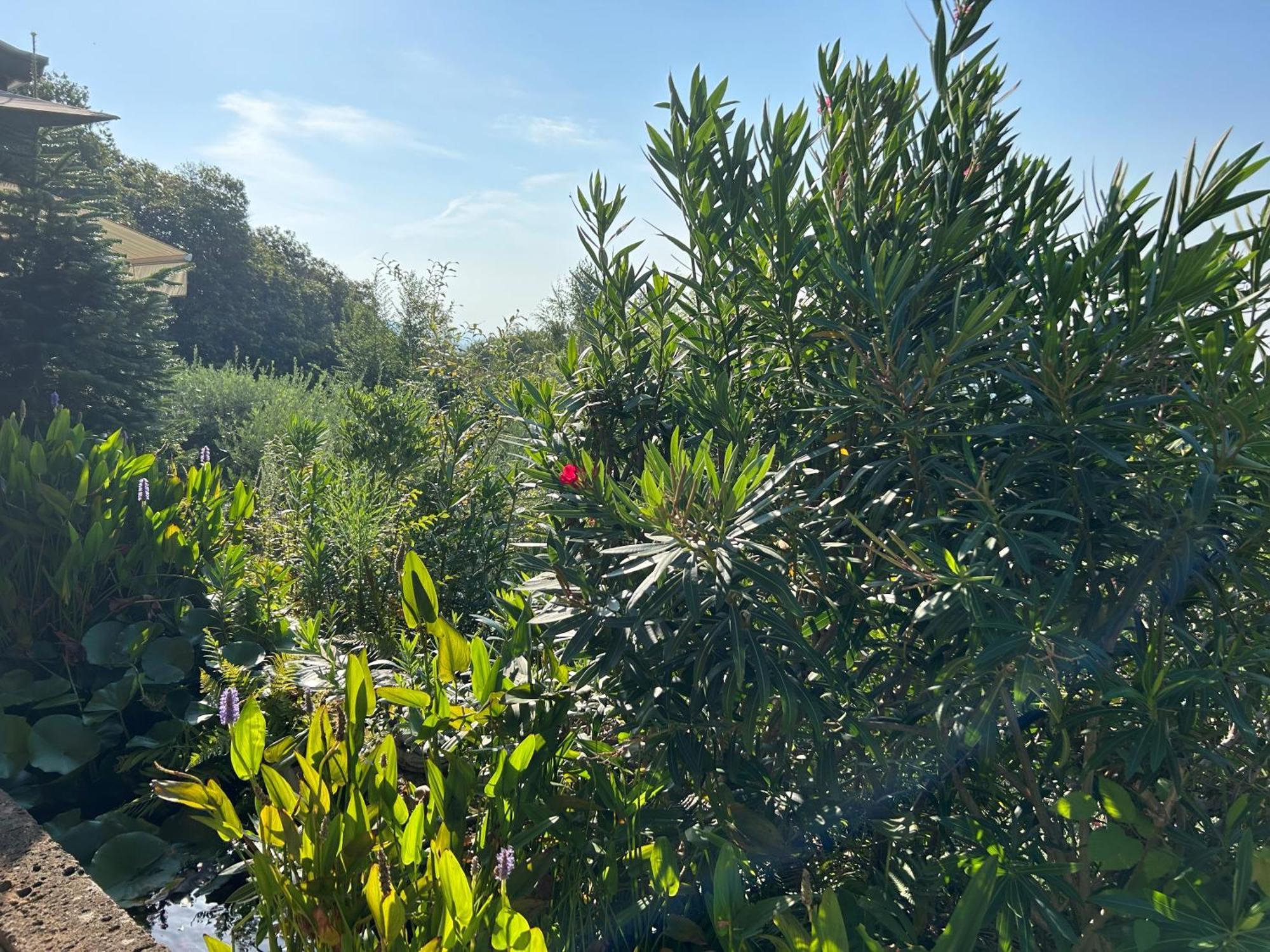 Agriturismo Al Robale Almenno San Bartolomeo Kültér fotó