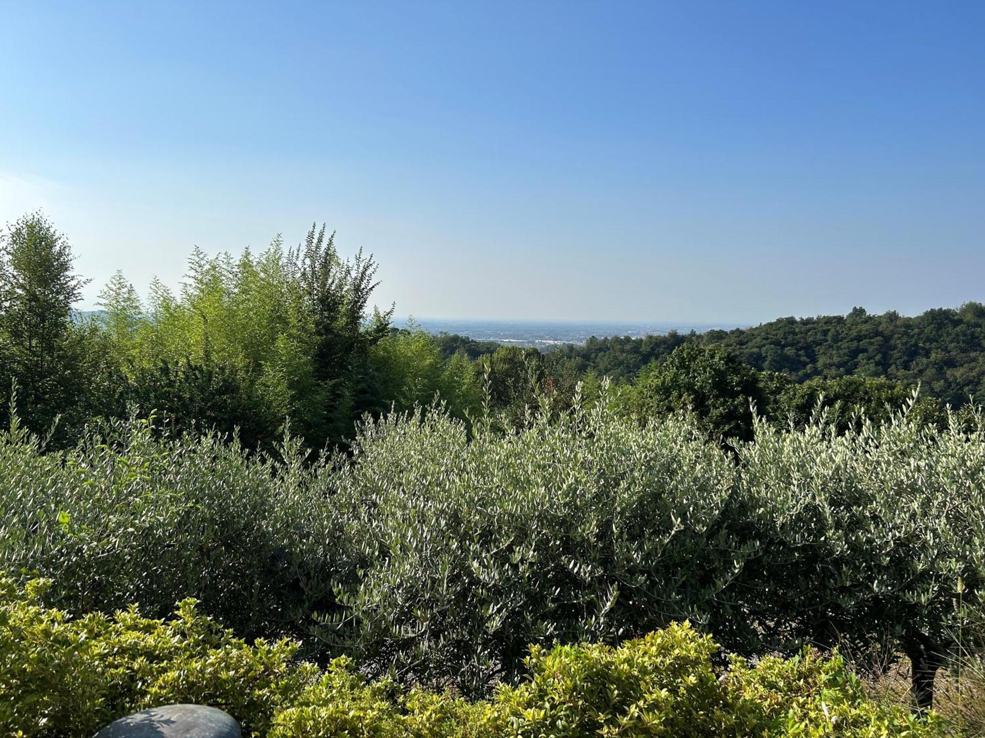 Agriturismo Al Robale Almenno San Bartolomeo Kültér fotó